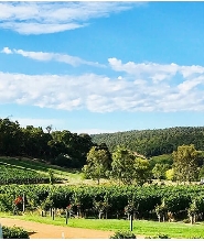 伯斯比克利谷葡萄酒＆蘋果酒品酒一日遊