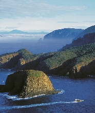 霍巴特或凱特靈出發的布魯尼島荒野巡遊一日遊