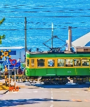 江之島+鎌倉高校+鶴崗八幡宮+橫濱山下公園一日遊(贈送江之電體驗)