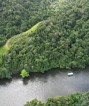 大丹翠野生動物遊船