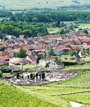 法國香檳區一日遊（含品酒體驗）- 巴黎出發