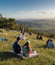 豪華酒莊一日遊（含午餐）- 布裏斯本／黃金海岸出發