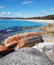 塔斯馬尼亞野外探險4日遊