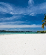 科隆島D線：珊瑚礁與沉船之旅