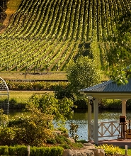 澳洲美食午餐之旅