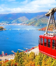 【東京/新宿出發】富士山河口湖纜車 & 大石公園 & 忍野八海 & 抹茶體驗一日遊