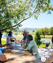 從雪梨出發：獵人谷葡萄酒、啤酒和烈酒品嚐一日遊