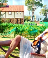 添馬艦谷葡萄酒品鑑之旅（含午餐）