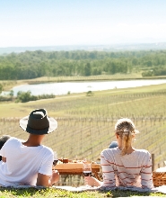 獵人谷奧黛麗威金森酒莊野餐品酒體驗