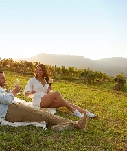 雪梨出發| 獵人谷美酒起司之旅