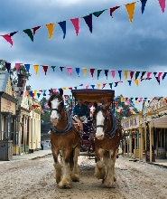疏芬山 & 墨爾本尤利卡觀景臺 & 植物園一日遊