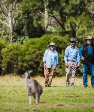 堪培拉野生動物半日之旅