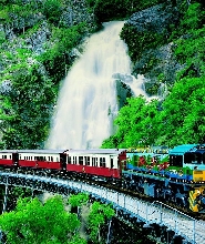 澳洲凱恩斯庫蘭達熱帶雨林一日遊