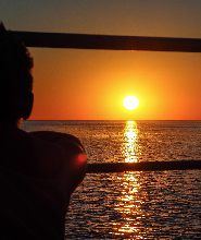 澳洲短鰭海豚夕陽遊船（布魯姆出發）