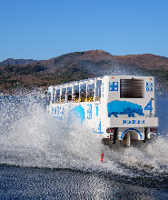 【東京出發】富士河口湖&新倉山淺間公園&日川時計點&忍野八海一日遊