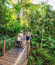 瀑布 & 溼地 & 空中纜車一日遊（凱恩斯出發）