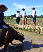 Motag Living Museum全地形車和高空滑索體驗