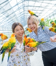 靜岡掛川花鳥園門票