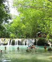 邦勞錫基霍爾島全日私人之旅