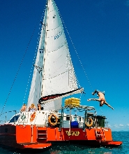 聖靈群島 Tongarra 號浮潛帆船一日遊（艾爾利海灘出發）