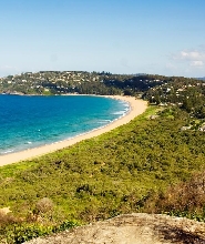 悉尼西角與棕櫚灘半日私人之旅