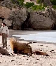 袋鼠島自然美景＆野生動物一日遊