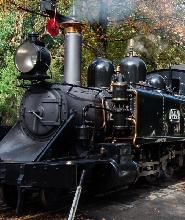 普芬比利鐵路 & 菲利普島1日遊