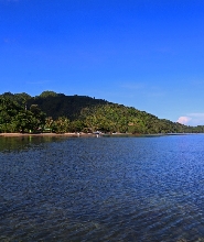 Danjugan島 / 龜島半日浮潛之旅（PADI五星級潛水中心）