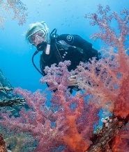 長灘島 PADI 潛水中心進階潛水課程