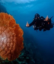 墨寶 PADI 五星潛水中心進階潛水員課程