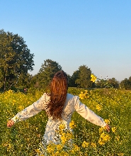 (飯店接送) 油菜花春日之旅，探索 UNESCO 世界遺產