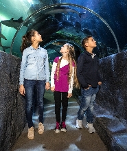 漢諾威 SEA LIFE 水族館門票