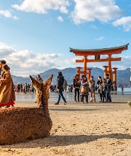 廣島＆宮島渡輪之旅（可選購新幹線）