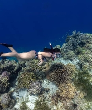 八打雁自由潛水基礎課程（2天）