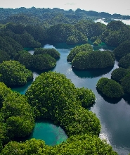 盧納將軍索霍頓灣全日私人之旅