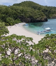 馬尼拉賽波克海灘全日海洋生態導覽