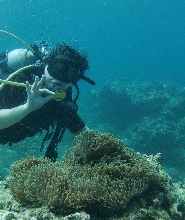 馬尼拉出發阿尼洛潛水之旅