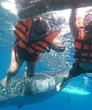 宿霧歐斯陸賞鯨鯊＆Ka Treasure Water Terraces 水梯