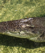 公主港市海濱公園與門多薩公園全日私人之旅