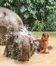 奧南大象保護區體驗