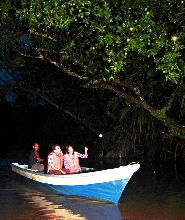 薄荷島鄉村之旅 & 螢火蟲觀賞