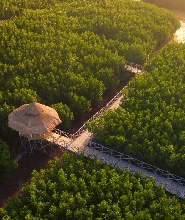 邦勞紅樹林與日落半日私人之旅