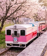 【熊本出發】九州高千穗一日遊：高千穗峽谷遊船・上色見熊野座神社/高千穗小火車・阿蘇山・草千裏
