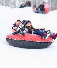 札幌羊之丘展望臺雪地體驗 & 私人包車接送