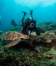 道因 PADI 五星潛水中心開放水域潛水員課程