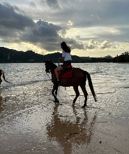 甲米海灘騎馬體驗