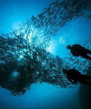 長灘島 PADI 潛水中心體驗（08:00開始）
