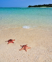 馬尼拉全日私人海洋生物之旅（含接送）