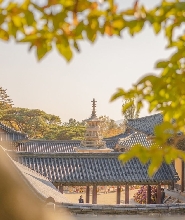 慶州私人遊（配認證導遊和專屬車輛）