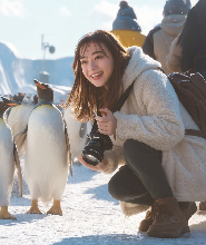 北海道人氣景點一日遊：旭川動物園&網紅樹&白鬚瀑布&美瑛青池&精靈露臺
